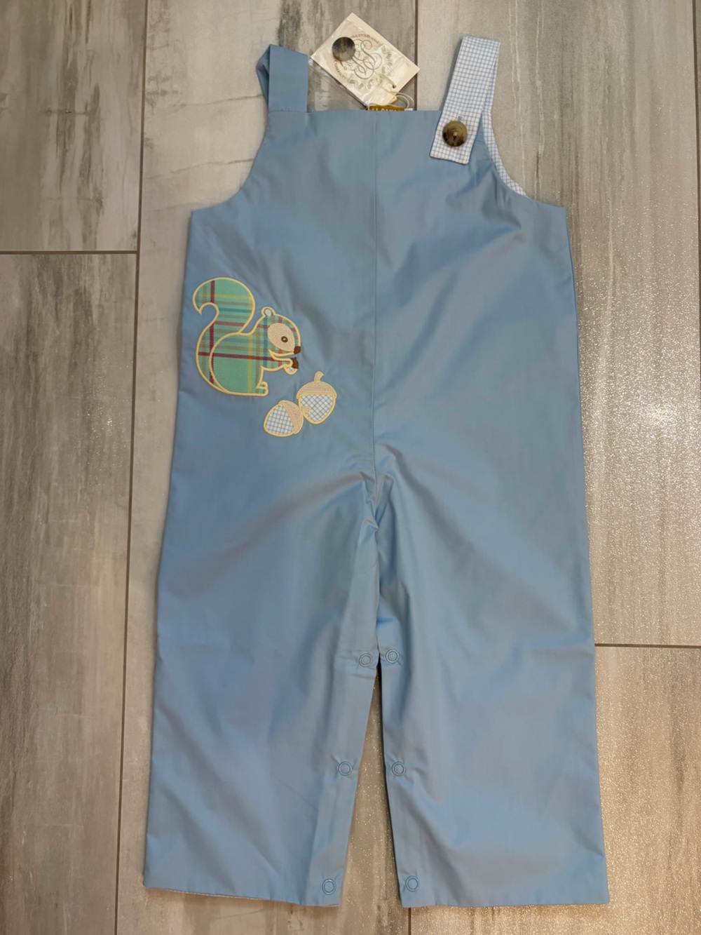 NWT TBBC Blue Squirrel Appliqué Teddy’s Longall Overalls Romper Boys 12-18M